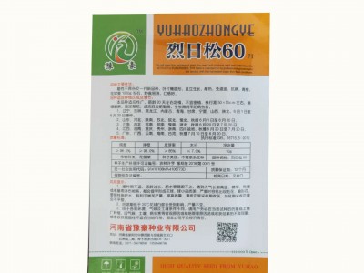厂家批发基地用早熟品种耐暑免盖烈日松60蔬菜种子松花菜种子图2