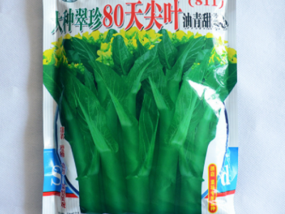 蔬菜种子公司批发利坚大种翠珍80天尖叶油青甜菜心（811）菜心种图1