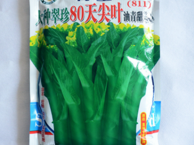 蔬菜种子公司批发利坚大种翠珍80天尖叶油青甜菜心（811）菜心种图2