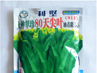 蔬菜种子公司批发利坚大种翠珍80天尖叶油青甜菜心（811）菜心种图3