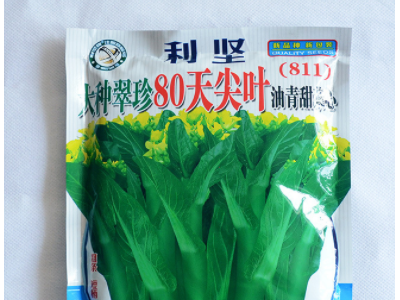 蔬菜种子公司批发利坚大种翠珍80天尖叶油青甜菜心（811）菜心种图5