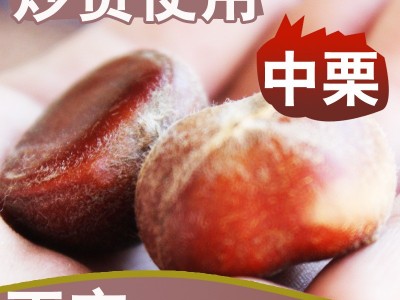 迁西栗子新鲜，生板栗新鲜，迁西板栗，小栗，中栗，标栗，油栗图1