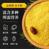 沁县有机小黄米 5000克无纺布袋装 小米粥家庭食用黄小米现货批发
