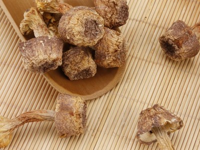 供应菌菇云南姬松茸 巴西菇 姬松茸干货 批发特产姬松茸图3