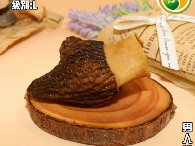 厂家直供湘蕈羊肚菌L干货110g湖南食用菌批发出口羊肚菜真空包装图1