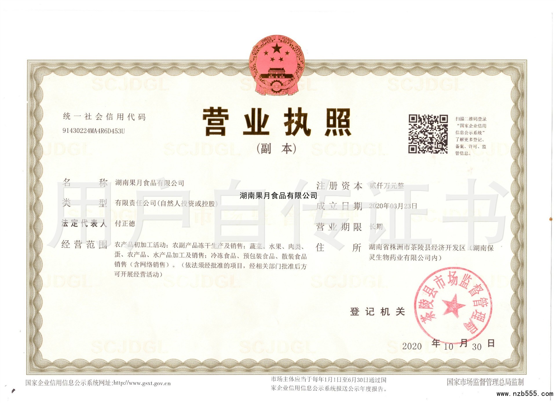 湖南果月食品有限公司