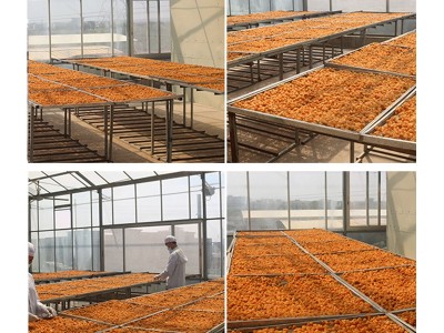 柴火烘培500g罐装桂圆肉人工精挑生晒无核龙眼肉空心灯笼新货元肉图4