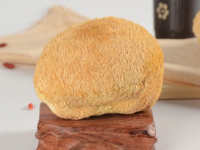 古田 猴头菇500g散装一件代发 4-6cm新货猴头菇干货批发图1