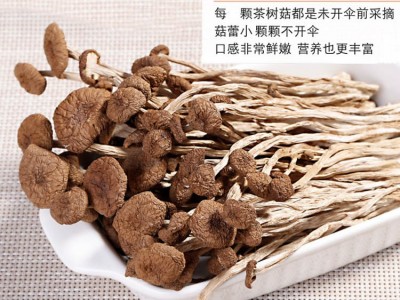 茶树菇新货古田特产 茶树菇不开伞特产批发 干货散装无熏厂家批发图1