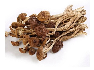 茶树菇新货古田特产 茶树菇不开伞特产批发 干货散装无熏厂家批发图4