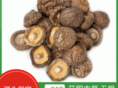 250g袋装干香菇 3-4cm散装冬菇厚菇农家素菇菌菇干货脱水香菇批发图1
