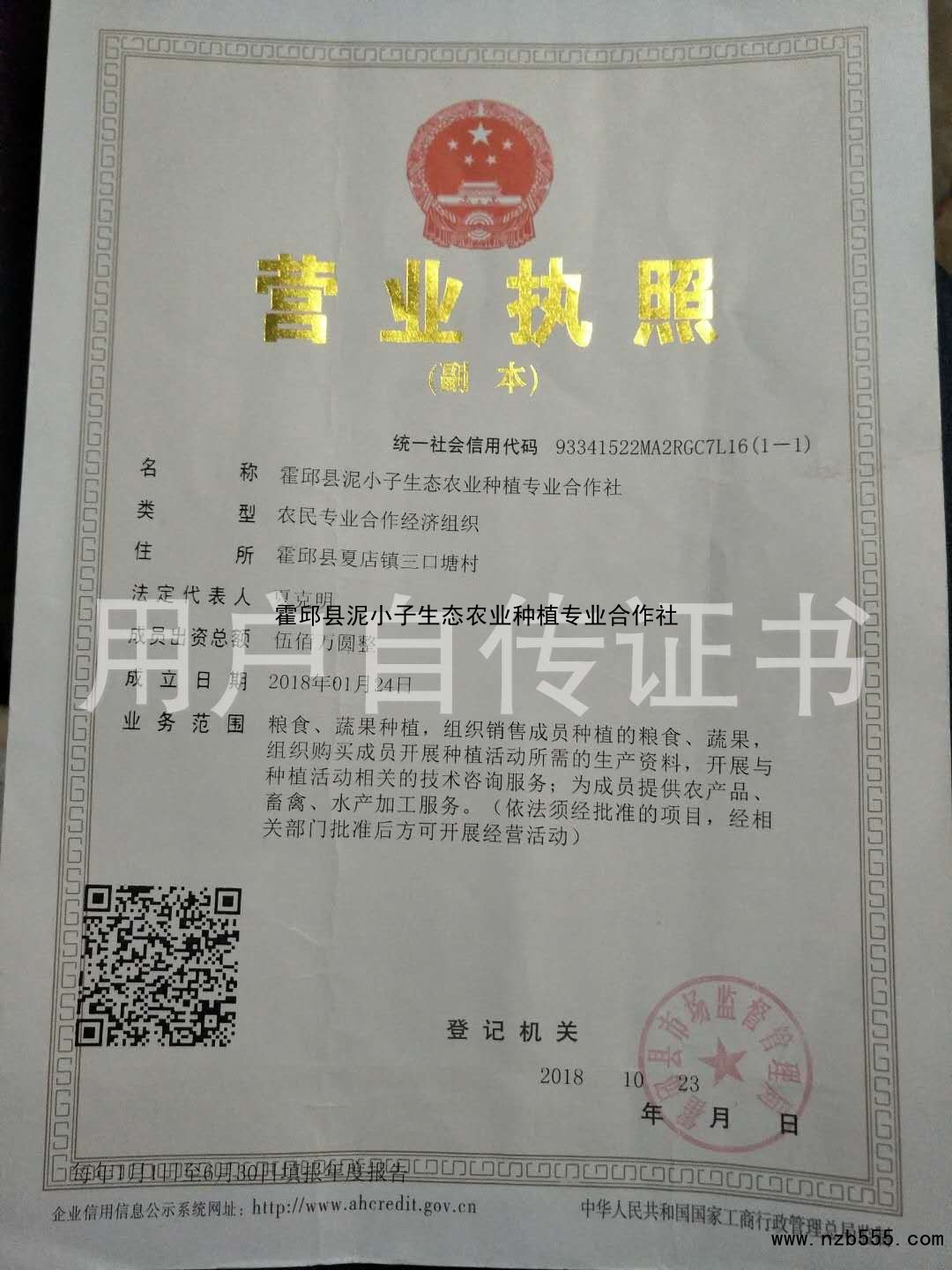 营业执照