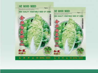 白菜种子蔬菜种子农作物种子结球白菜青梗菜种子批发珍珠白快菜图4
