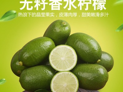 海南无籽香水柠檬一级台湾柠檬现摘薄皮奶茶店香柠青柠檬图1