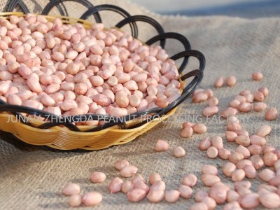 生产供应 大白沙花生米 散装花生米 白沙花生米系列图5