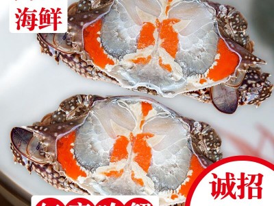 呛蟹红膏咸蟹舟山宁波特产腌制醉蟹冷冻梭子蟹蟹糊蟹块即食类海鲜图2
