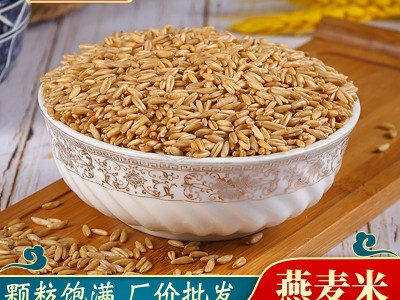 大量供应燕麦米 批发燕麦米 莜麦五谷杂粮生燕麦米袋装49斤图3
