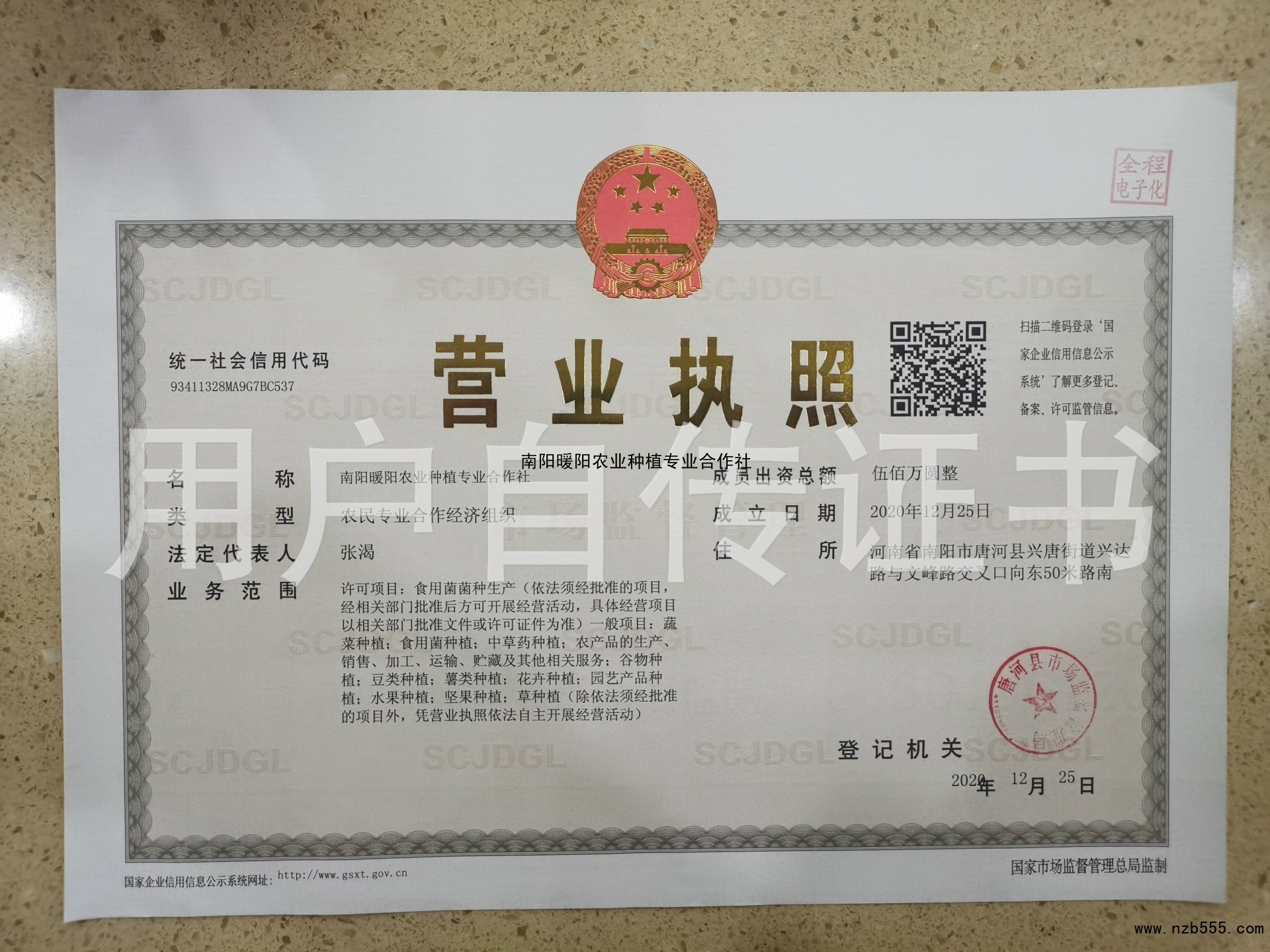营业执照