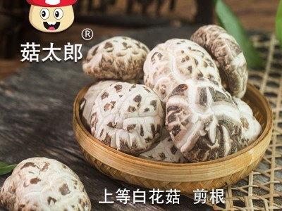 菇太郎出口白花菇冬菇特产磨菇剪脚山货农家香菇干货花菇500g图1