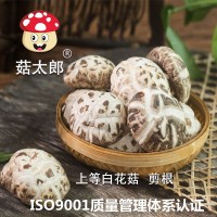 菇太郎出口白花菇冬菇特产磨菇剪脚山货农家香菇干货花菇500g