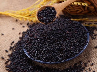 供应五谷杂粮批发 豆浆原料熟黑米 低温烘焙五谷磨粉原料 熟黑米图5