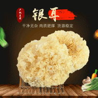 厂家批发无硫大朵白木耳 500g简装干货大花银耳 银耳莲子羹食材