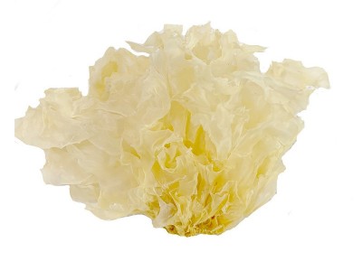 厂家批发无硫大朵白木耳 500g简装干货大花银耳 银耳莲子羹食材图5