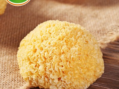 小钟工坊 银耳丑耳干货白木耳500g 产地批发OEM 古田银耳干货图1