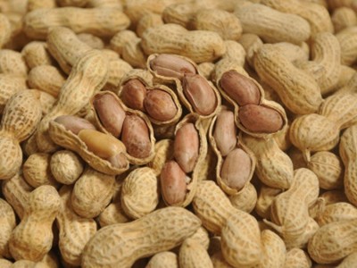 小日本花生盐焗味甘草味炒原味核桃味蒜香味冠华花生珍珠花生10斤图4