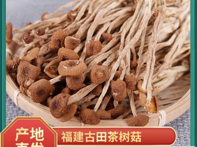 加工定制茶树菇图1