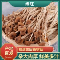 加工定制茶树菇