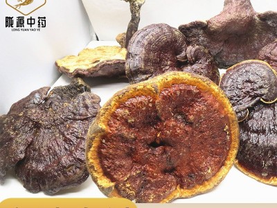 长期供应 长白山灵芝片产地一手货源 灵芝批发 灵芝个 中药材图1
