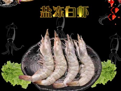 盐冻无冰白虾青岛大虾只只分离 冷冻虾 冰虾图1