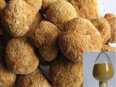 厂家直供猴头菇提取物猴头菇多糖提取物30% 质量达标品质高提取物图3