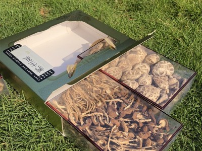 菌菇礼盒 食用菌干货养生礼品 透明伴手礼送礼姬松茸茶树菇竹荪图4