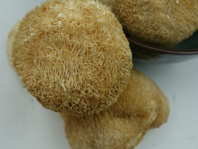 批发古田猴头菇猴头菌佳品肉嫩肥厚煲汤火锅食材500g图3