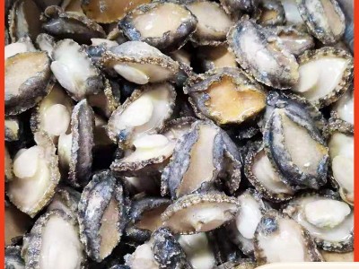 福建连江本地速冻鲍鱼肉 无壳纯肉海鲜餐饮酒店火锅供应食材批发图1