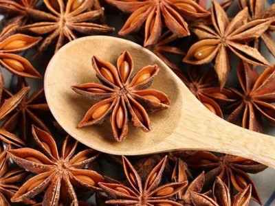 大红八角调料 火锅烧菜卤菜调味香料 散装八角茴香大料批发图2