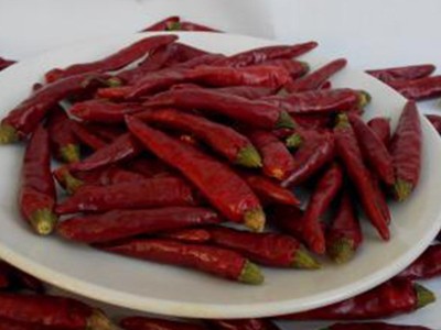 朝天椒辣椒干批发 微辣香小辣椒火锅底料调料干辣椒红辣椒图5