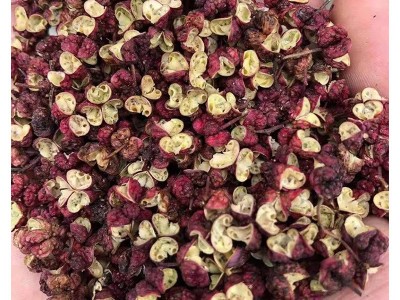 青红鲜麻椒藤椒花椒散装批发 火锅香底料炒菜调味料花椒粒图5