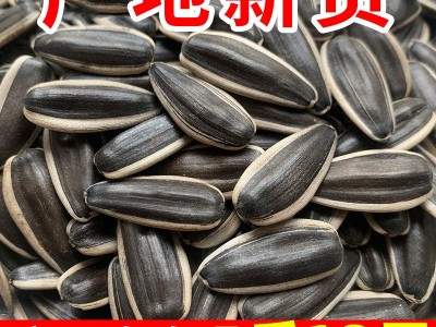 内蒙古生瓜子361葵花籽601新货新鲜散装批发363原味5斤装大颗粒图2