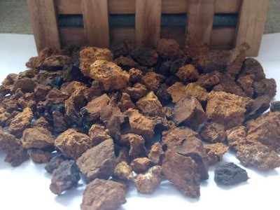 俄罗斯西伯利亚白桦茸 桦树茸 桦褐孔菌 机打大颗粒图2