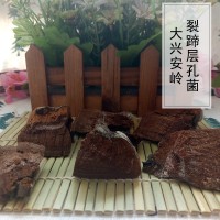 裂蹄孔菌 裂蹄灵芝 红肉拟层孔菌免费打粉切块1公斤装批发