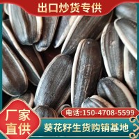 厂家供应生瓜子内蒙古生葵花籽新货大颗粒原味葵花子新鲜