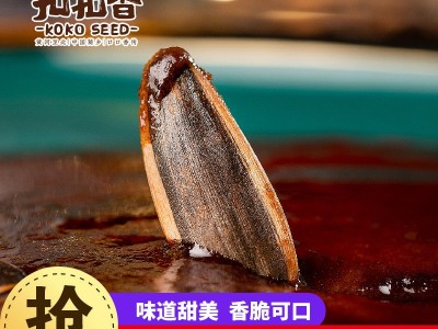 焦糖味瓜子山核桃红枣味葵瓜子熟散装袋装扣扣香休闲零食批发出口图5