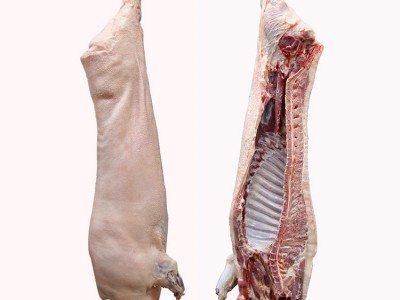 烧烤食材内蒙古羊白条羊批发 新鲜全羊整只 羊肉图4
