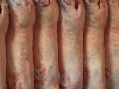 烧烤食材内蒙古羊白条羊批发 新鲜全羊整只 羊肉图5