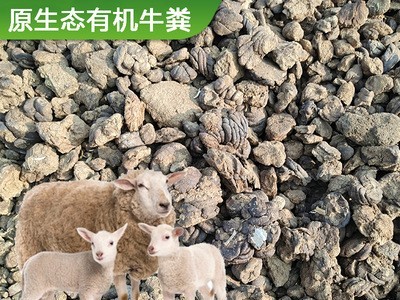 内蒙古发酵牛粪有机肥 大块腐熟绿植农作物花园草坪菜地果蔬腐肥图5