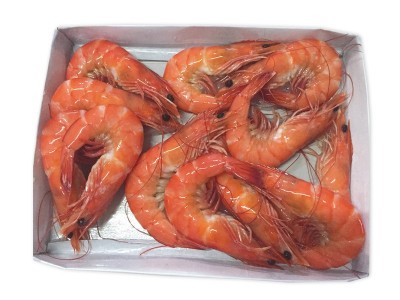 熟虾熟对虾毛重500g白灼虾香虾南美白虾卤水虾盒生鲜海鲜餐饮冻品图4