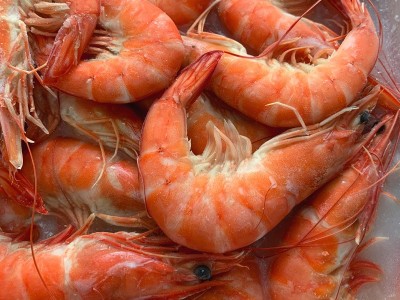 熟虾熟对虾毛重500g白灼虾香虾南美白虾卤水虾盒生鲜海鲜餐饮冻品图2